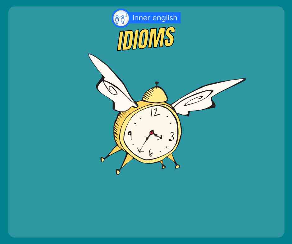 Fluent English speaker